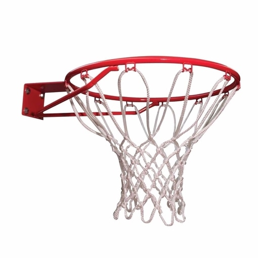 Aro y red de baloncesto